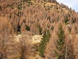 Motoalpinismo in Valtellina - 051